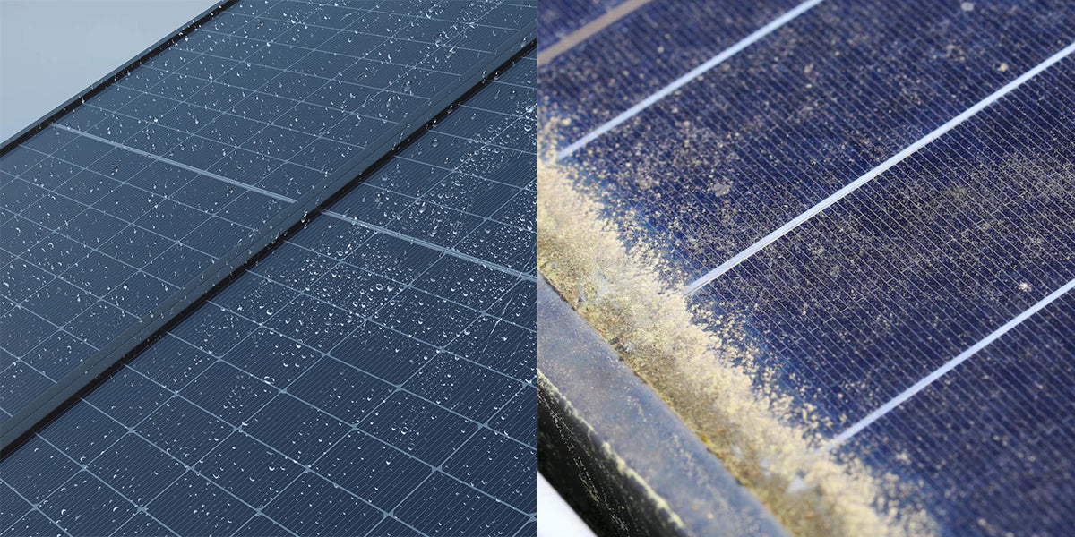 Erweiterte Haltbarkeit durch Dual-Glas-Konstruktion